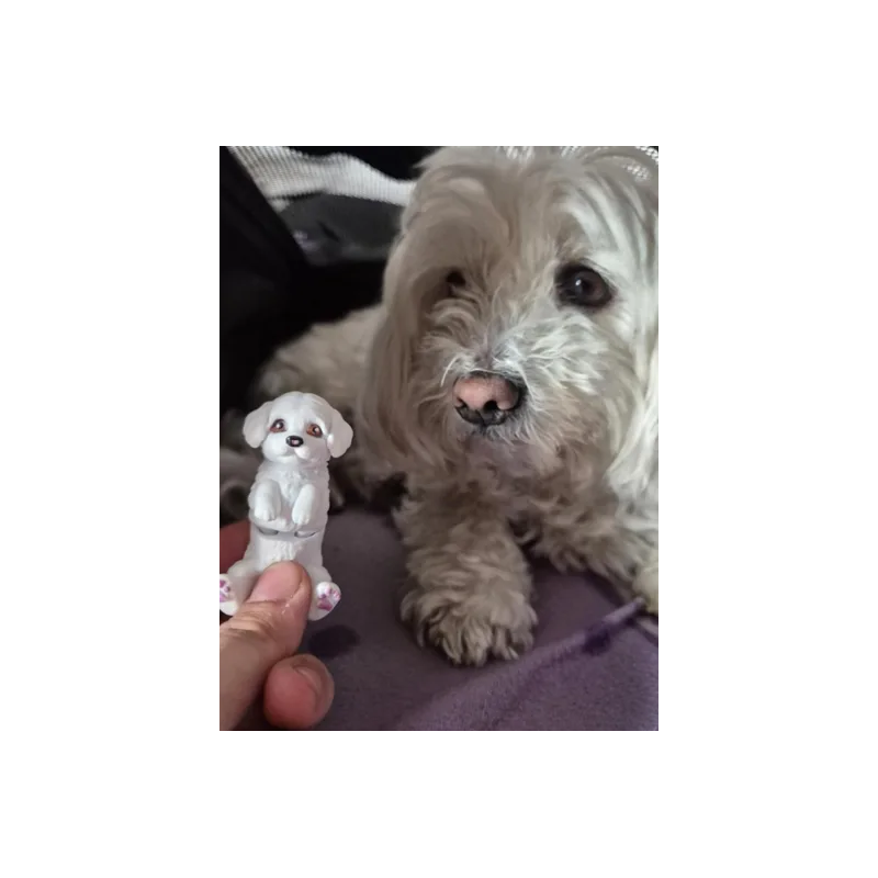 Maltese Köpek Anahtarlık | Eklemli, Esnek ve Dayanıklı Tasarım